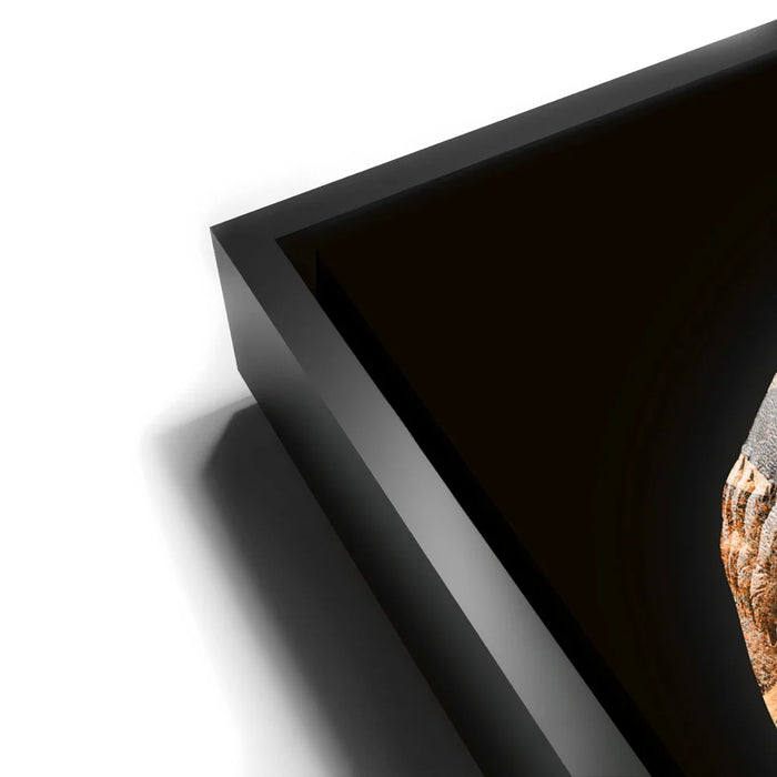 Featured image 11 for Baseball Graffiti - Giant's Colors