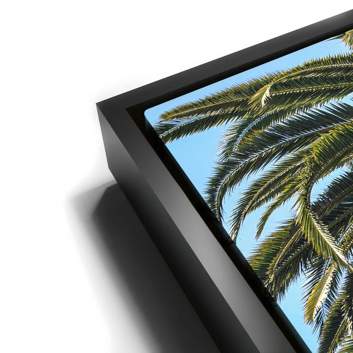 Featured image 11 for Bel-Air