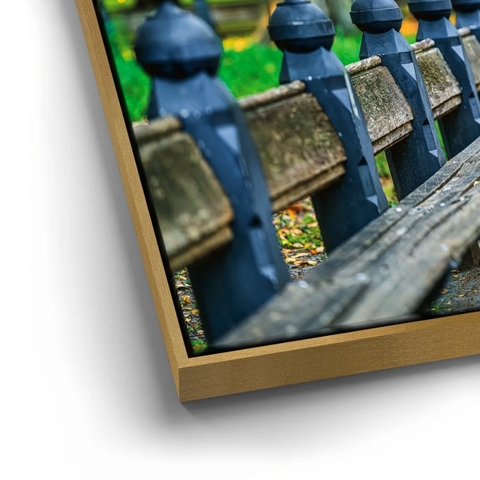 Featured image 12 for Benches In Central Park, New York City