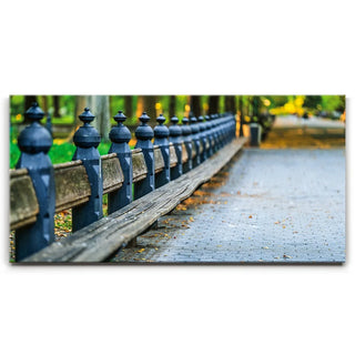 Benches In Central Park, New York City