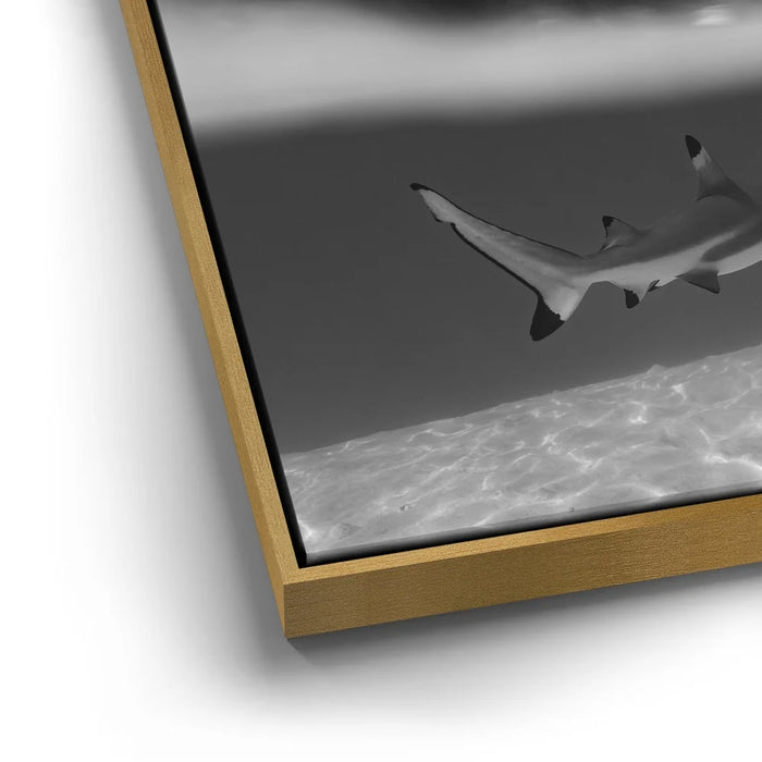 Featured image 13 for Beneath The Surface B&W - Tahiti