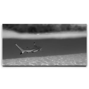 Beneath The Surface B&W - Tahiti