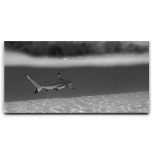 Beneath The Surface B&W - Tahiti Posters, Prints, & Visual Artwork TheGoatWallArt LANDSCAPE - WIDE 30x15 0.75" STANDARD