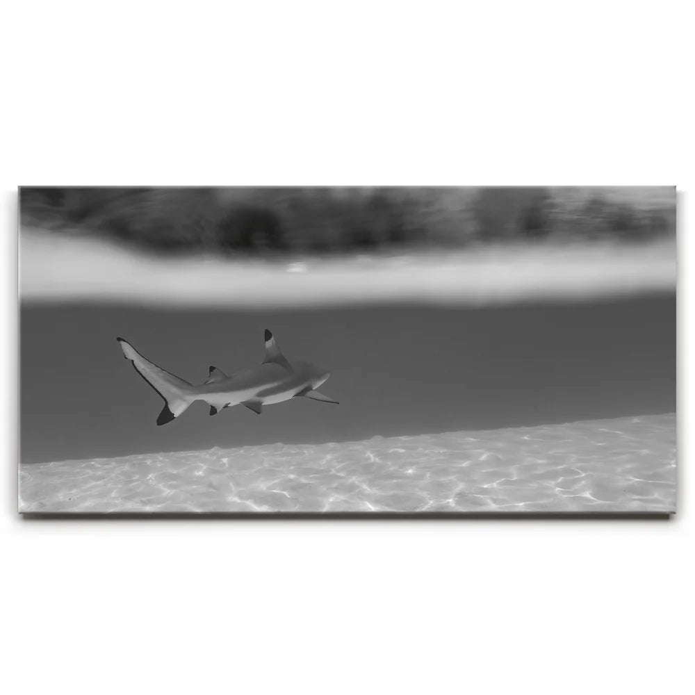 Featured image 1 for Beneath The Surface B&W - Tahiti