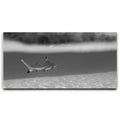 Featured image 1 for Beneath The Surface B&W - Tahiti