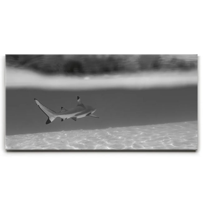 Featured image 1 for Beneath The Surface B&W - Tahiti