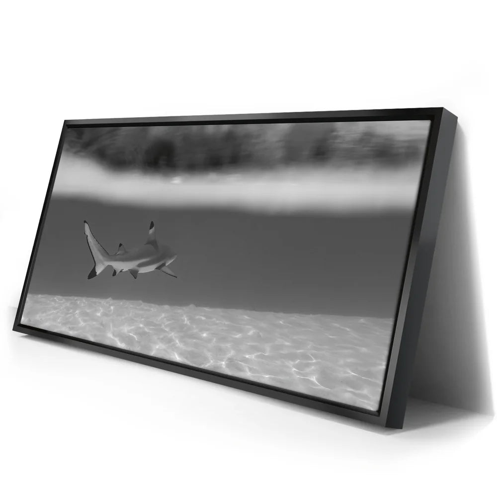 Featured image 2 for Beneath The Surface B&W - Tahiti