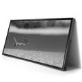 Thumbnail image 2 for Beneath The Surface B&W - Tahiti