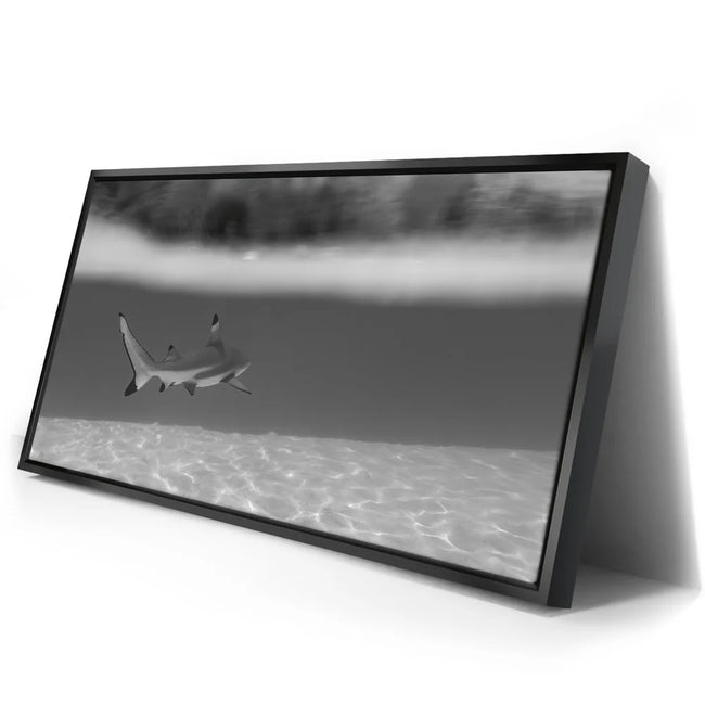 Featured image 2 for Beneath The Surface B&W - Tahiti