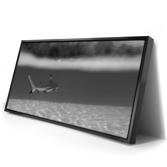 Featured image 2 for Beneath The Surface B&W - Tahiti