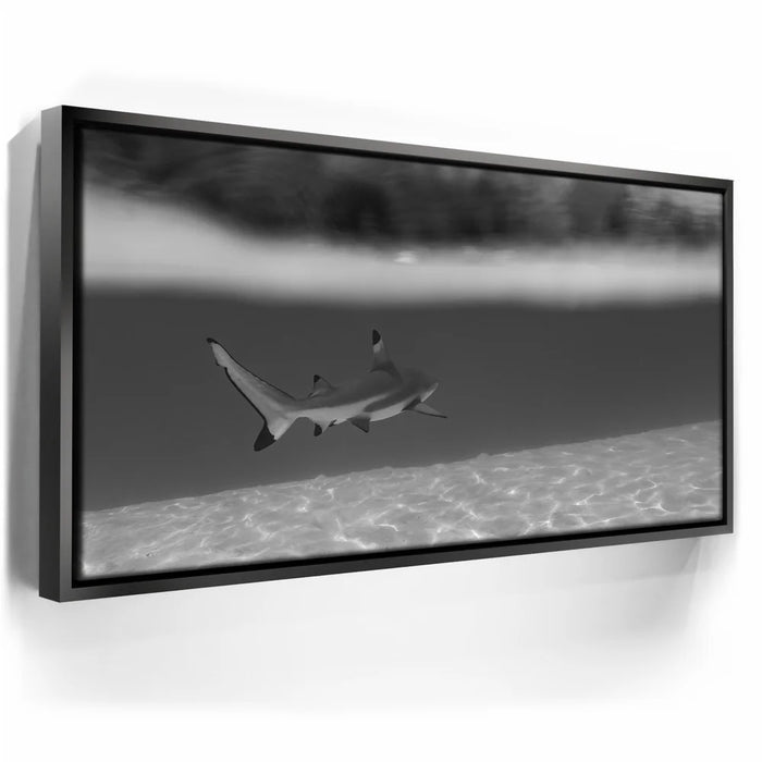 Featured image 6 for Beneath The Surface B&W - Tahiti