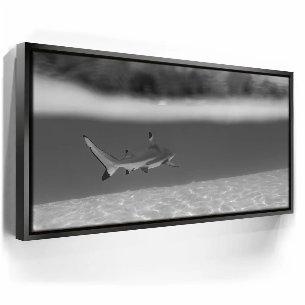Featured image 5 for Beneath The Surface B&W - Tahiti