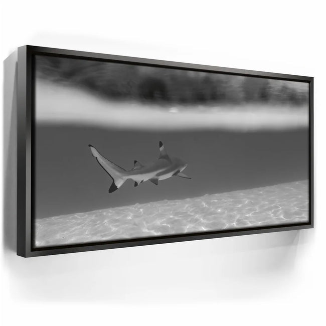Featured image 5 for Beneath The Surface B&W - Tahiti