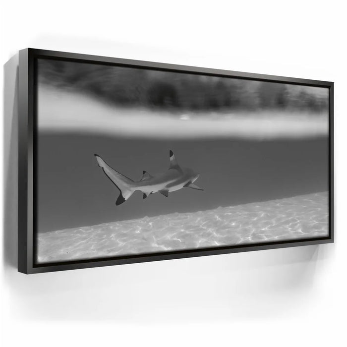 Featured image 5 for Beneath The Surface B&W - Tahiti