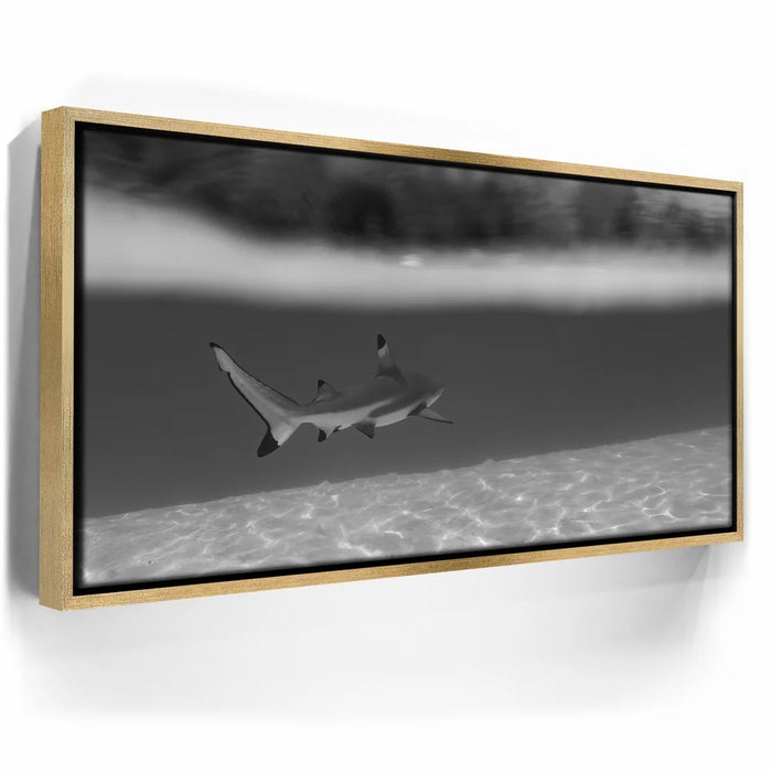 Featured image 8 for Beneath The Surface B&W - Tahiti