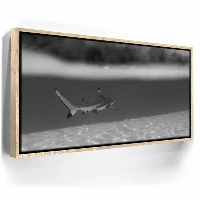 Featured image 10 for Beneath The Surface B&W - Tahiti