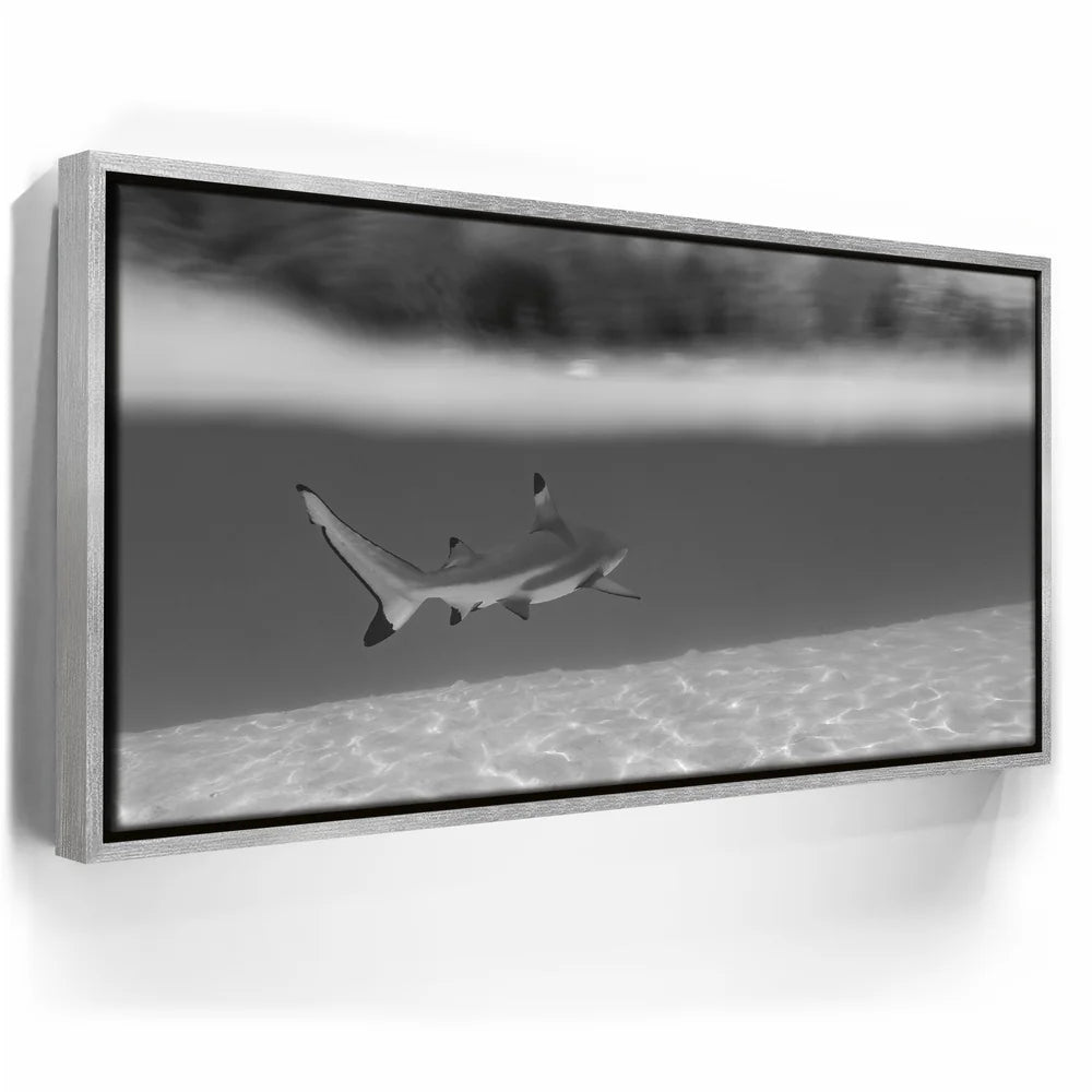 Featured image 8 for Beneath The Surface B&W - Tahiti