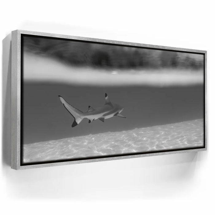 Featured image 8 for Beneath The Surface B&W - Tahiti