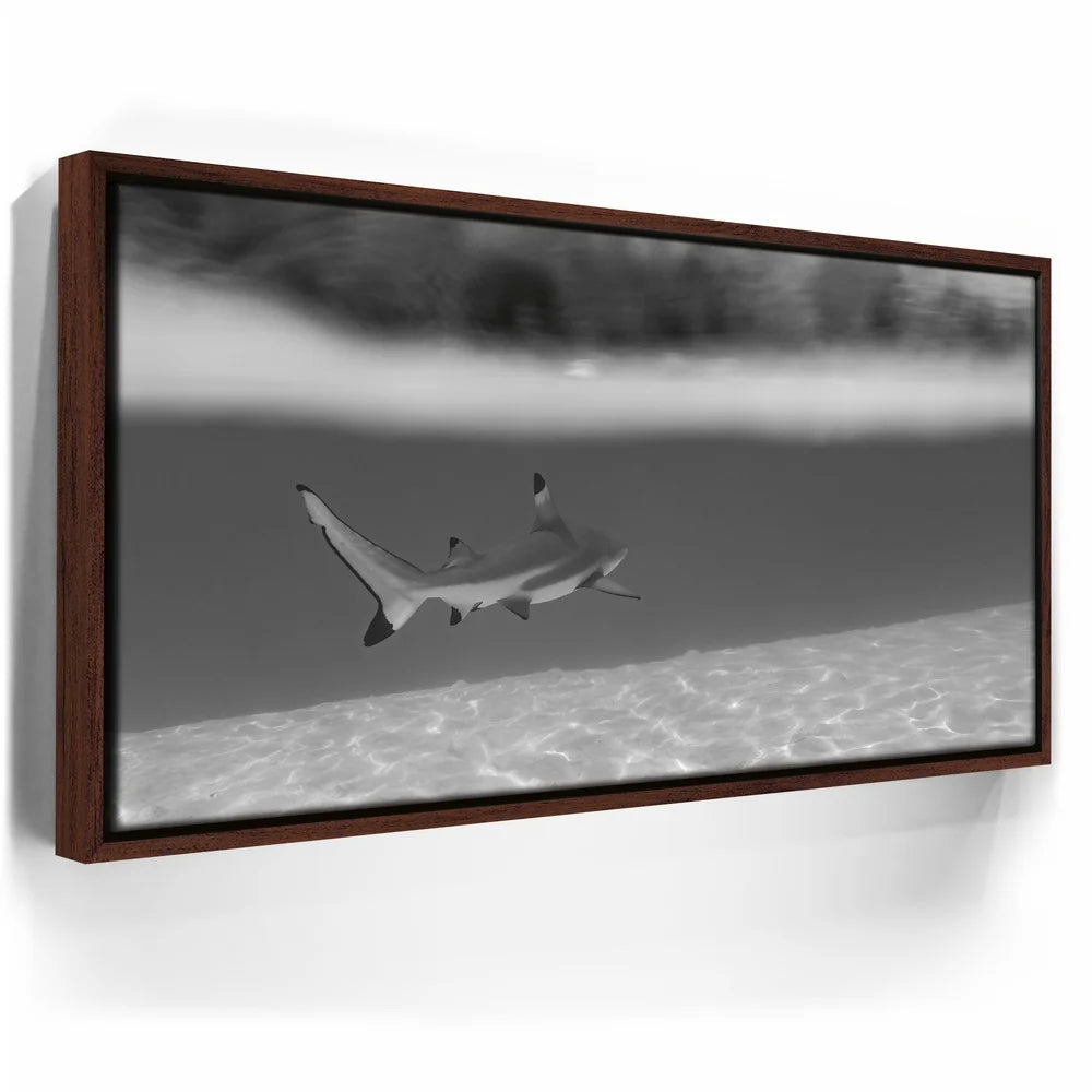 Featured image 10 for Beneath The Surface B&W - Tahiti