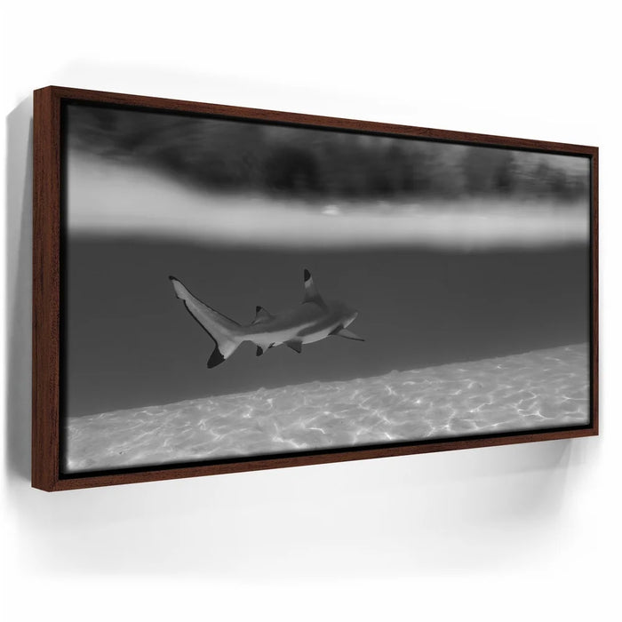 Featured image 11 for Beneath The Surface B&W - Tahiti