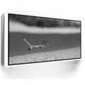Featured image 6 for Beneath The Surface B&W - Tahiti