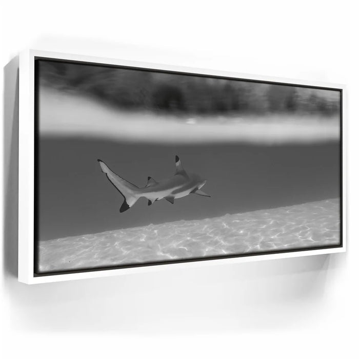 Featured image 6 for Beneath The Surface B&W - Tahiti