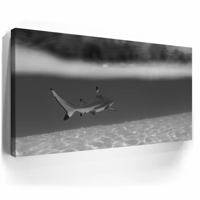 Featured image 5 for Beneath The Surface B&W - Tahiti