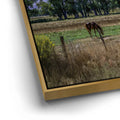 Thumbnail image 13 for Beneath the Bishop Peaks