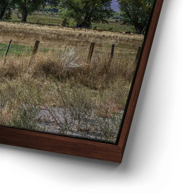 Featured image 15 for Beneath the Bishop Peaks
