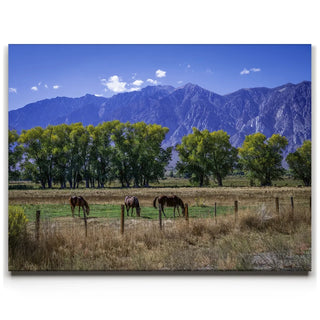 Beneath the Bishop Peaks