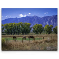 Featured image 1 for Beneath the Bishop Peaks