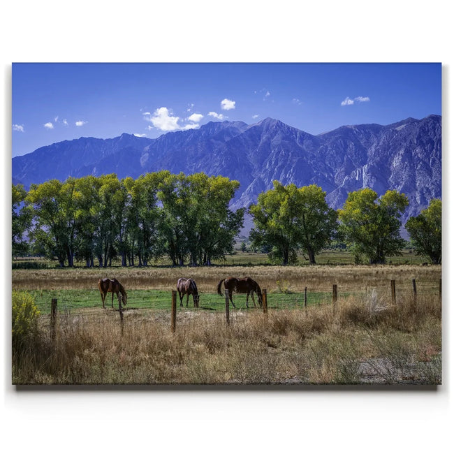 Featured image 1 for Beneath the Bishop Peaks