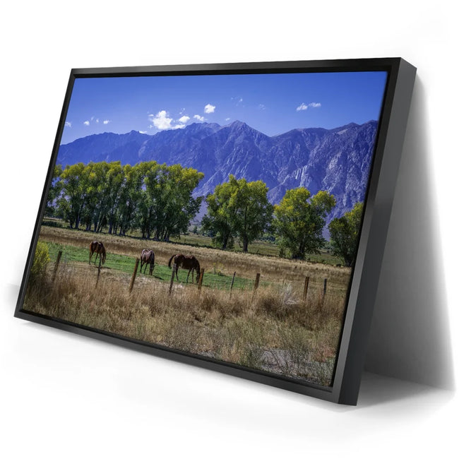 Featured image 2 for Beneath the Bishop Peaks