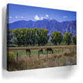Thumbnail image 3 for Beneath the Bishop Peaks