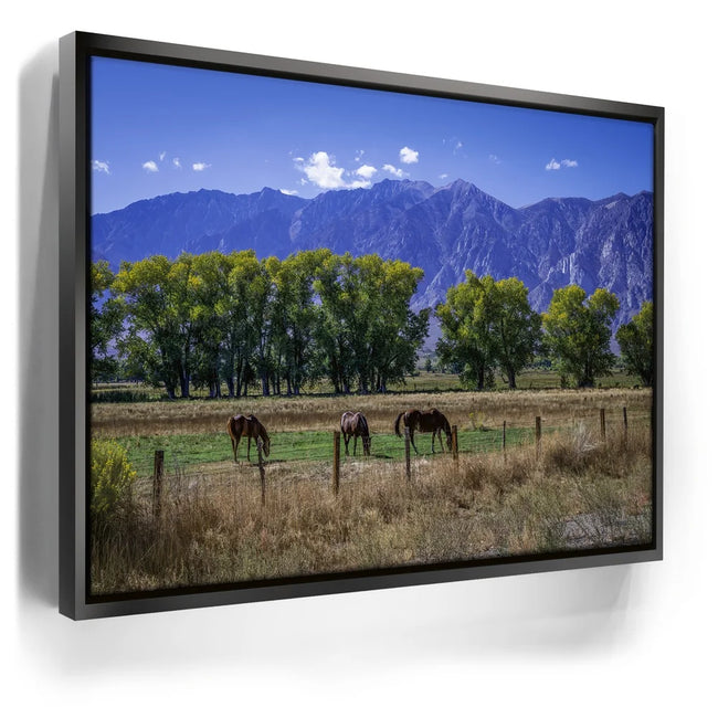Featured image 6 for Beneath the Bishop Peaks