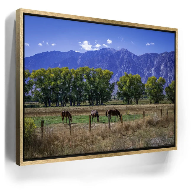 Featured image 8 for Beneath the Bishop Peaks