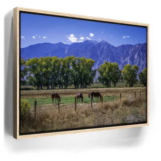 Featured image 10 for Beneath the Bishop Peaks