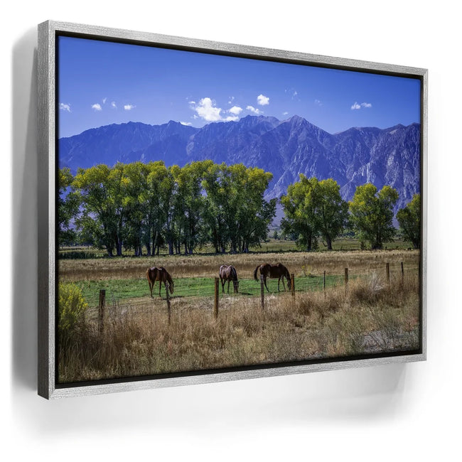 Featured image 9 for Beneath the Bishop Peaks