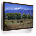 Featured image 11 for Beneath the Bishop Peaks
