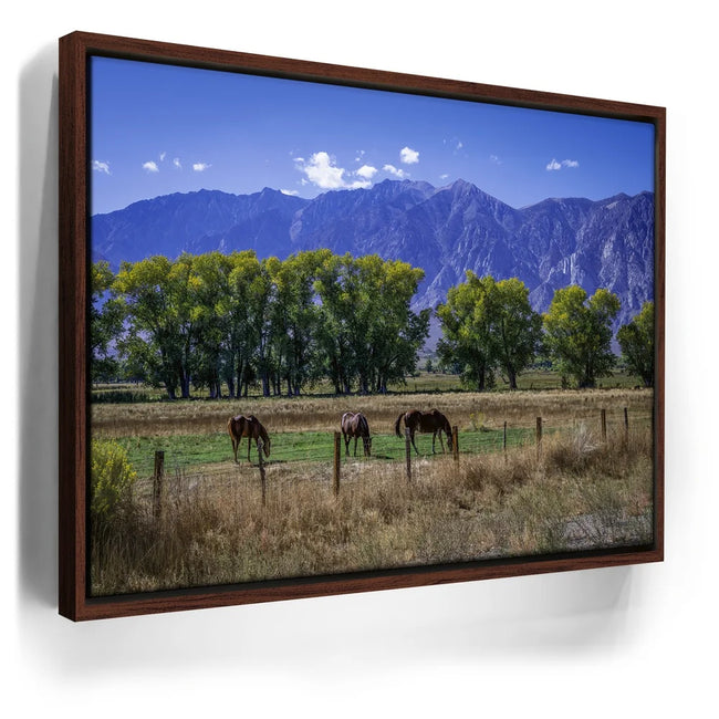 Featured image 11 for Beneath the Bishop Peaks