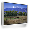 Featured image 7 for Beneath the Bishop Peaks