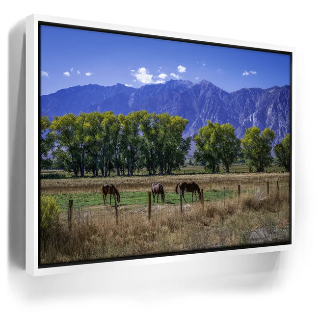 Featured image 7 for Beneath the Bishop Peaks