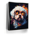 Featured image 5 for Bichon Frise Rockstar