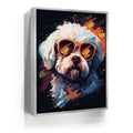 Featured image 8 for Bichon Frise Rockstar