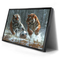 Thumbnail image 2 for Big Cat Soccer