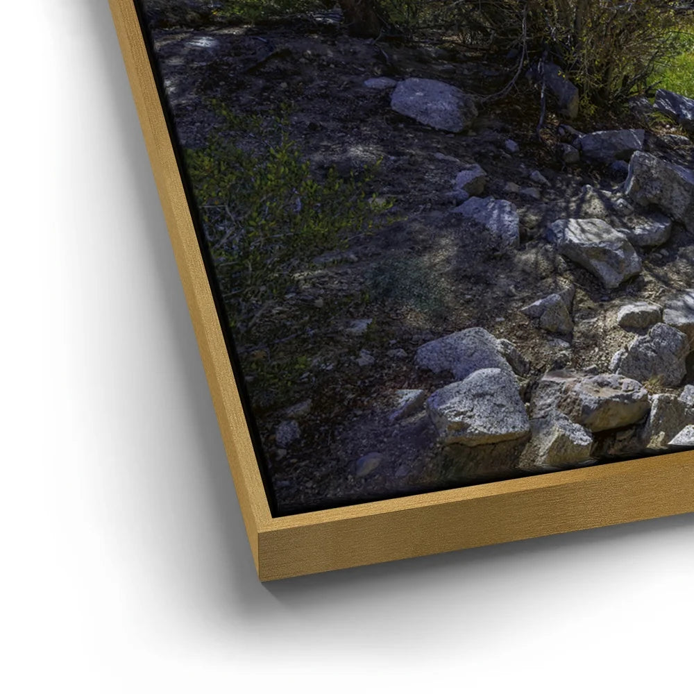 Featured image 12 for Bishop Creek Mountain Stream