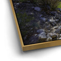 Thumbnail image 12 for Bishop Creek Mountain Stream