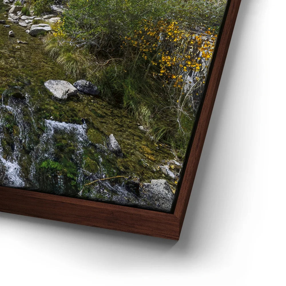 Featured image 14 for Bishop Creek Mountain Stream