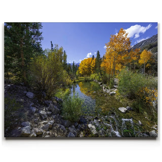 Bishop Creek Mountain Stream