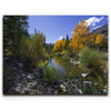 Featured image 1 for Bishop Creek Mountain Stream